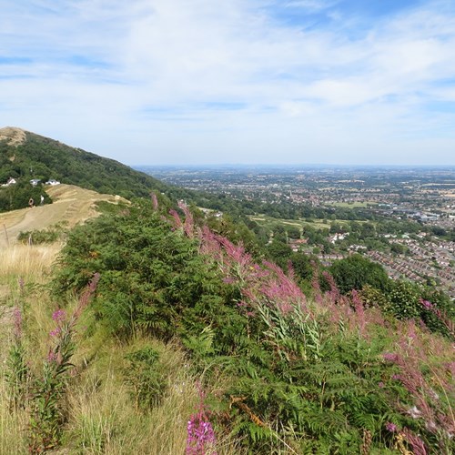 Perseverance Hill above Great Malvern Summer low res.jpg