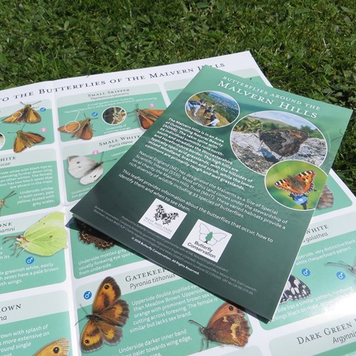 Malverns Butterfly leaflet 2018 low res.jpg