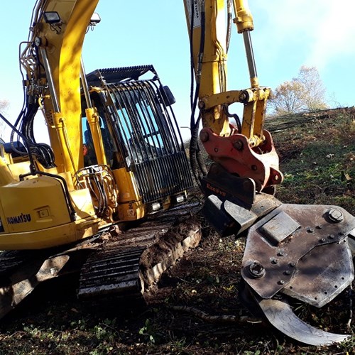 Excavator felling birch, Pinnacle nov19 low res.jpg