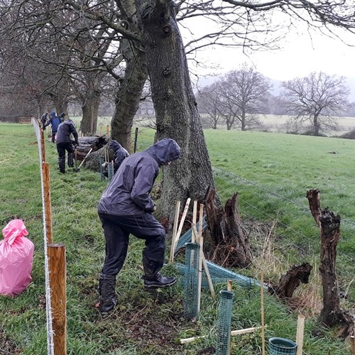 Volunteers hedgeplanting Snookes Croft (1) low res.jpg