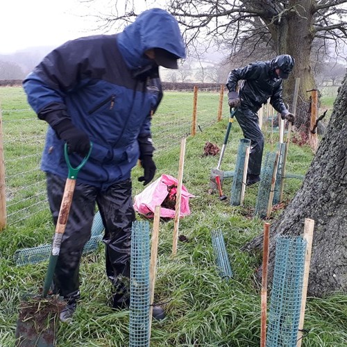 Volunteers hedgeplanting Snookes Croft (2) low res.jpg
