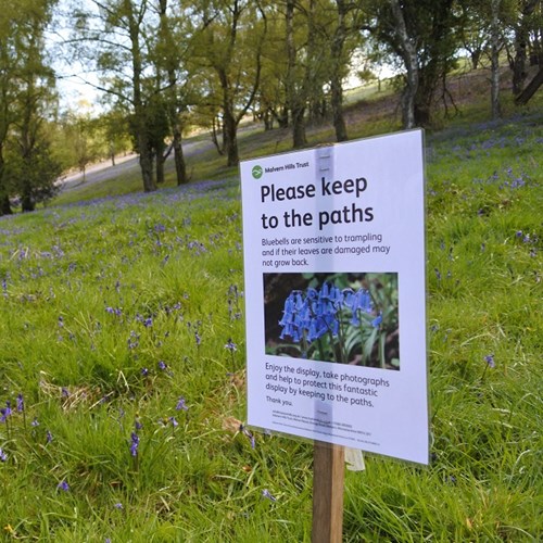 Bluebell sign low res.jpg